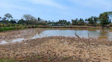 Gambar 4 Tanah Stategis Di Pinggir Jl. Nasional IiI Panimbang