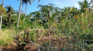 Gambar 4 Tanah Darat Dan Sawah Kering Di Panimbang Blok Huni