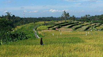 Gambar 2 Lahan Villa  Resort  View Sawah di Payangan Ubud