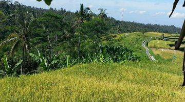 Gambar 5 Lahan Villa  Resort  View Sawah di Payangan Ubud