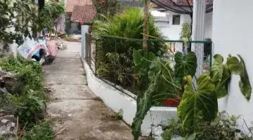 Gambar 5 Rumah Cocok Untuk Villa Rumah Pensiun Dengan Kolam, Mushola, Kebun Dan Mata Air Rumah Hitung Tanah 