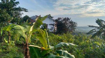 Gambar 1 Tanah di Bulusan, Tembalang