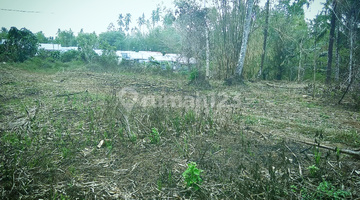 foto lainnya urgent dijual, tanah di jalur