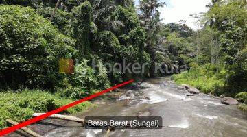 Gambar 2 Tanah Tepi Sungai Ayung Dekat Four Season Ubud