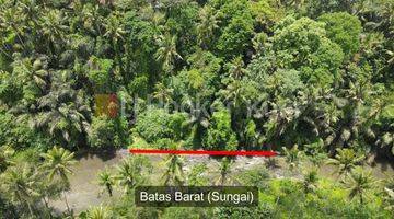 Gambar 3 Tanah Tepi Sungai Ayung Dekat Four Season Ubud