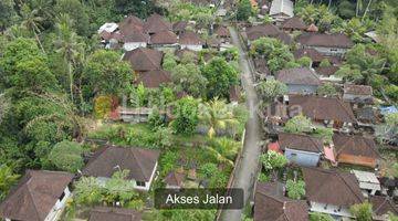 Gambar 5 Tanah Tepi Sungai Ayung Dekat Four Season Ubud