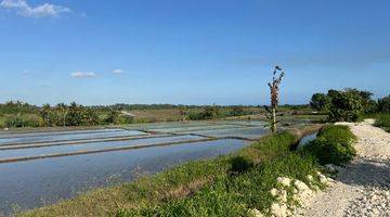 Gambar 4 Hanya 300 meter ke Pantai Pasut Tabanan Luas 2140m²