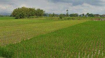 Gambar 2 Cocok Utk Resto Tepi Sawah Tanah Sawah Gondang Tulungagung