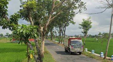 Gambar 1 Cocok Utk Resto Tepi Sawah Tanah Sawah Gondang Tulungagung