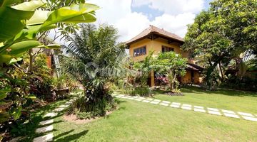 tampak depan near finns beach club tropical