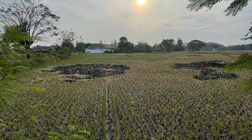 Gambar 4 Lansung Pemilik Tanah Pinggir Jalan Kampung Kidongdong