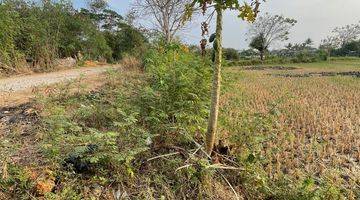 Gambar 5 Lansung Pemilik Tanah Pinggir Jalan Kampung Kidongdong