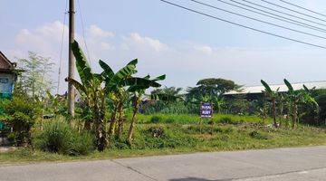 Gambar 2 Tanah bagus siap bangun cocok utk gudang, perumahan cluster