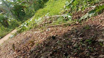 Gambar 2 Lahan Di Kp.tegal Lebak Area Rangkas Bitung, Dekat Lokasi Wisata