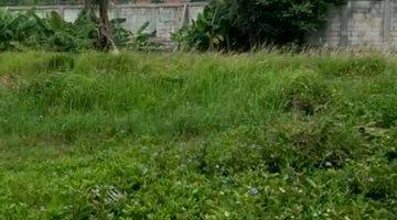 Gambar 4 Dijual Cepat Tanah 3000m2 di rajeg mulya, Tangerang. 