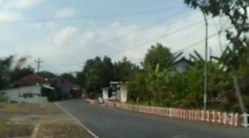 Gambar 4 Dijual Tanah Pertanian Akses Mobil di Daerah Padamara Purbalingga