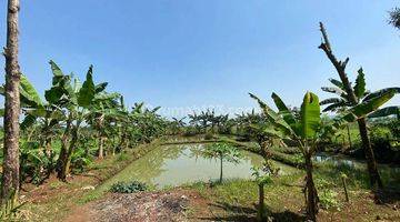 foto lainnya dijual tanah 9350 m2 shm