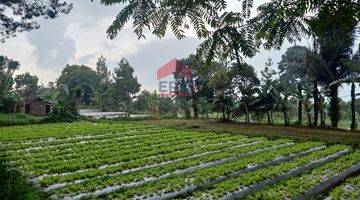 Gambar 5 Tanah Kampung Daun Lembang Triniti Bandung