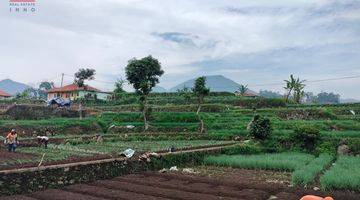 Gambar 3 Tanah Sawah Simpang Kenden Penundaan Ciwidey Bandung