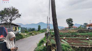 Gambar 5 Tanah Sawah Simpang Kenden Penundaan Ciwidey Bandung