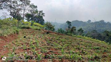 Gambar 5 Tanah Premium di Lokasi Strategis Dengan Udara Sejuk Pegunungan di Cimenyan Kabupaten Bandung