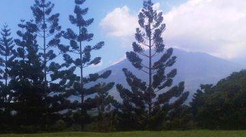 Gambar 5 Rancamaya Golf Tanah Kavling Cantik View Gunung Salak Nempel Dengan Golf Course 