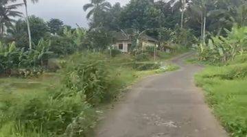 Gambar 2 Tanah 25 Are Di Penebel Tabanan Pemandangan Sawah