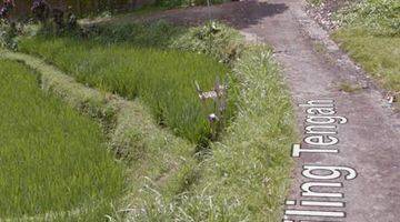 Gambar 5 Tanah 25 Are Di Penebel Tabanan Pemandangan Sawah