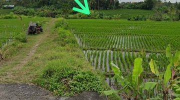 Gambar 4  Tanah di Pantai nyanyi, Nyanyi SHM - Sertifikat Hak Milik 7 Are