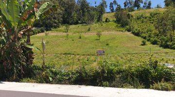 Gambar 1 Tanah Kebun Di Sukau Lampung Barat