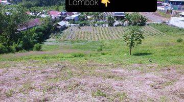 Gambar 3 Tanah Kebun Di Sukau Lampung Barat