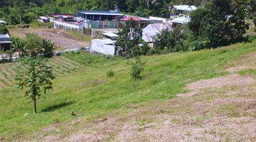 Gambar 4 Tanah Kebun Di Sukau Lampung Barat