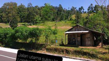 Gambar 5 Tanah Kebun Di Sukau Lampung Barat