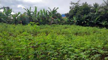 Gambar 4 Villa Kebun Asri Dan Nyaman Jalur Wisata Gunung Salak Endah