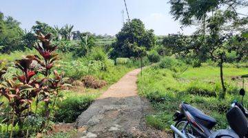 foto lainnya tanah murah subur produktif cocok