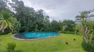 Gambar 1 Luxury Villa For Sale At Payangan Gianyar