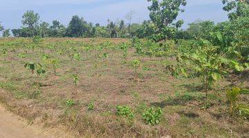 Gambar 5 Tanah di Sindangbarang Cianjur, 2 KM dari Pantai Karang Potong