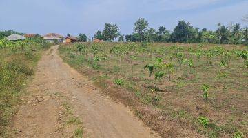 Gambar 1 Tanah di Sindangbarang Cianjur, 2 KM dari Pantai Karang Potong