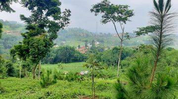 Gambar 1 Jual Tanah Kavling 3 Hektar 30.000 M2 di Gunung Bunder 2, Pamijahan. Bogor.