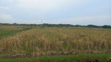 Gambar 2 BEAUTIFUL LAND WITH SEA VIEW