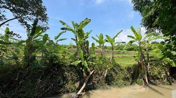 Gambar 2 BEAUTIFUL LAND WITH RICE FIELD AND RUVER SIDE