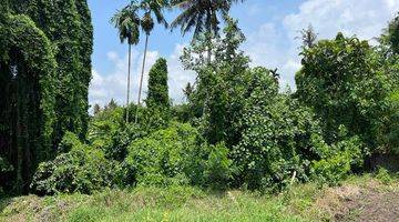 Gambar 4 BEAUTIFUL LAND WITH RICE FIELD AND RUVER SIDE