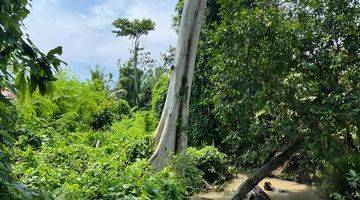 Gambar 5 BEAUTIFUL LAND WITH RICE FIELD AND RUVER SIDE