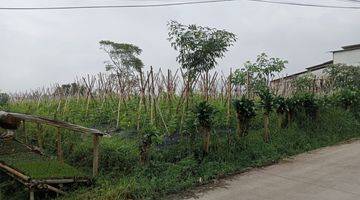 Gambar 3 Dijual Tanah Kebun Matang Siap Bangun Best View Cikole Lembang