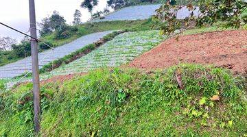 Gambar 1 Tanah View Tanpa Terhalang Dekat Candi Cetho Karanganyar