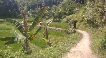 Gambar 1 Tanah Di Sukabumi Jalan Bencoy Cireunghas