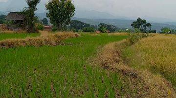 Gambar 5 Tanah Pacet View Pegunungan 