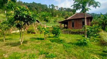 Gambar 4 Tanah Dikelilingi Hutan Cocok Buat Villa Siap Pakai Batas Pondasi