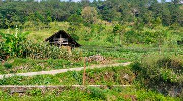 Gambar 5 Tanah Dikelilingi Hutan Cocok Buat Villa Siap Pakai Batas Pondasi