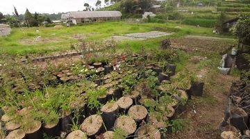 Gambar 1 Dijual Tanah di Cihideung Lembang Cocok untuk Cluster atau Usaha Kebun Bunga